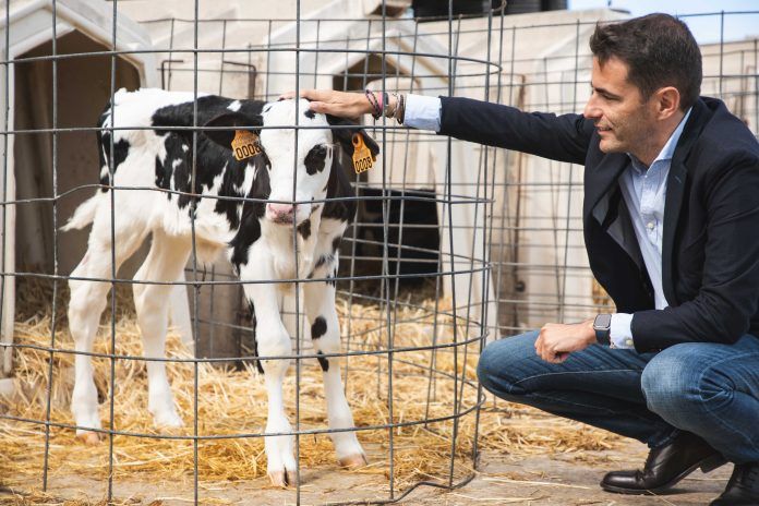 Casares Granja Cudaña 060925.